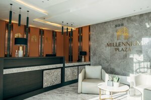 Гостиница Millennium Plaza Hotel