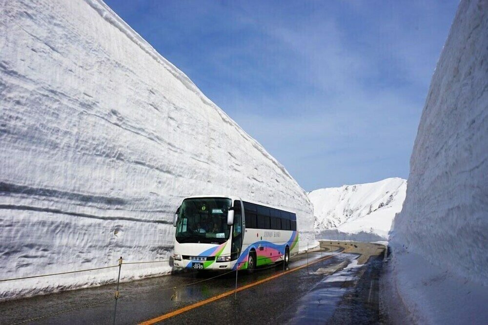 Фото Kongoji Syukubo Seihoin