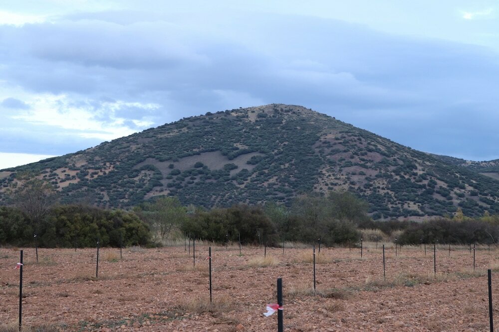 Фото Agroturismo la finka