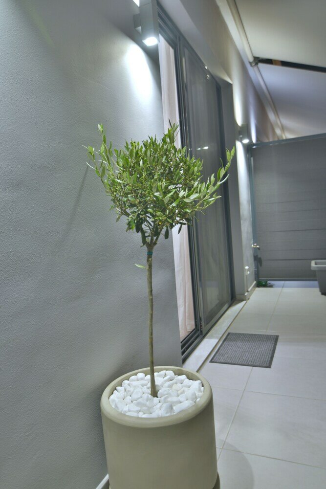 Фото Feel Athens Studios at Monastiraki