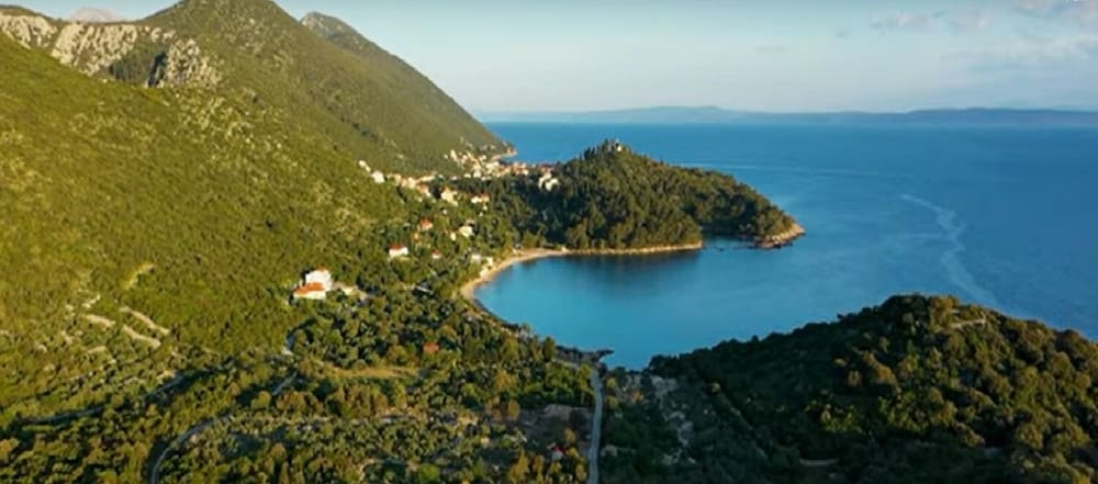 Фото Lavender - Traditional Tranquility - H