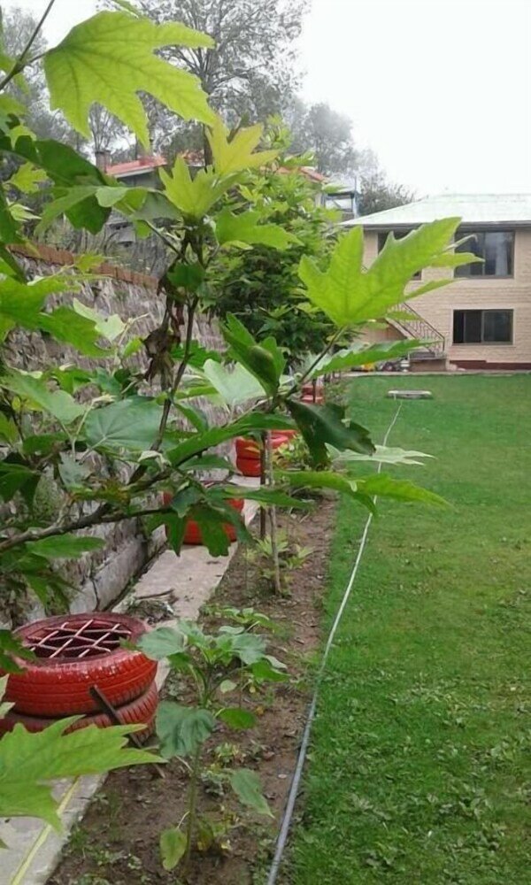 Фото Gahirat Castle