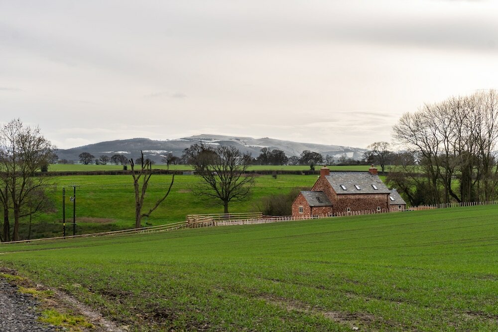 Фото The Patches