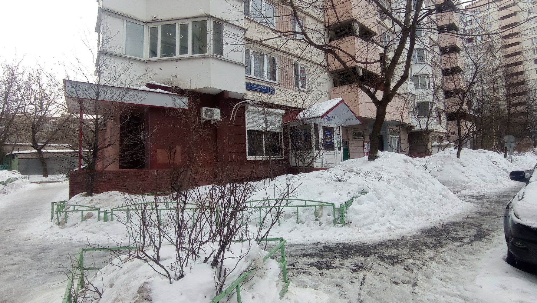 Львёнок - фото 6