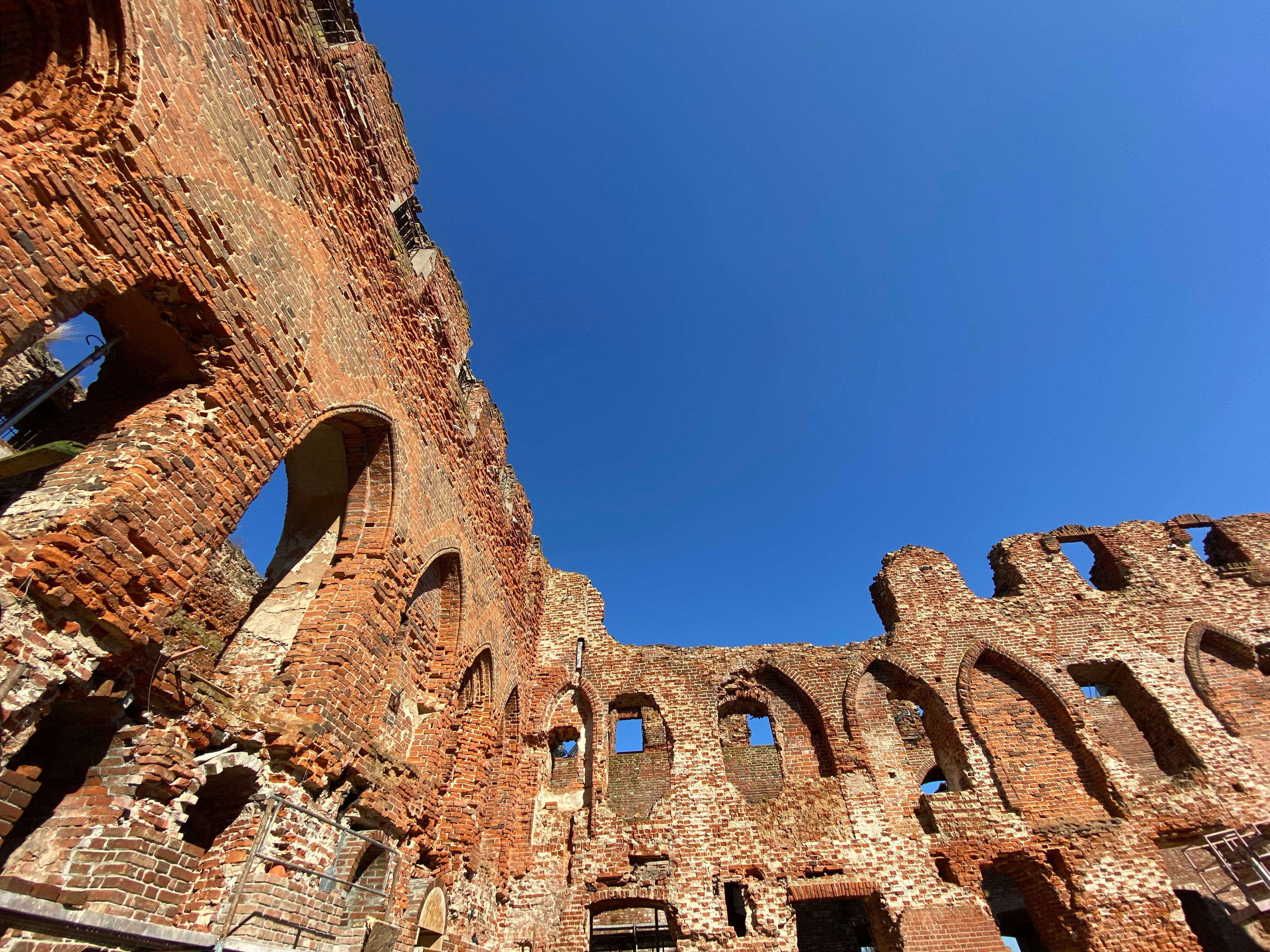 Фото Принцесса Рагнета