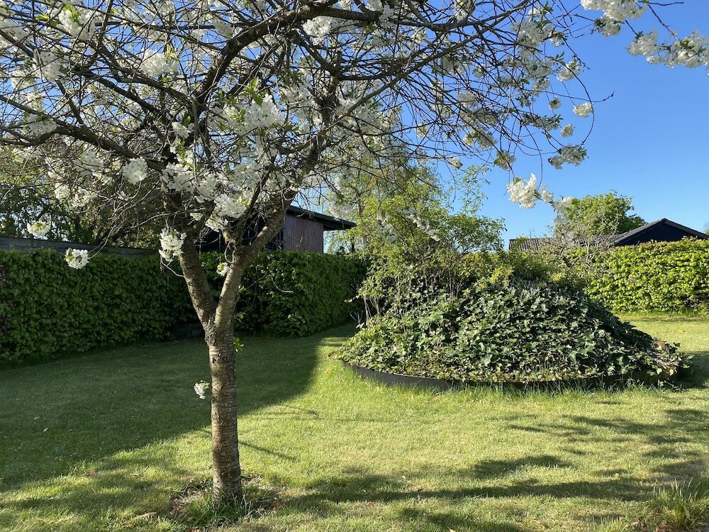 Фото Sommerhus i Risskov