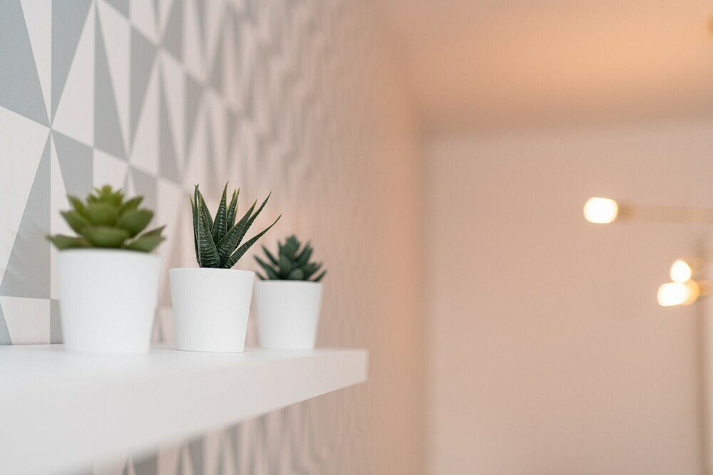 Фото Iloftmalaga Fernando el Católico