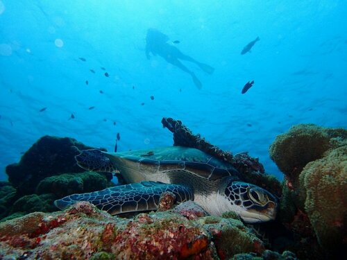 Гостиница Manta Reserve на Атолле Баа