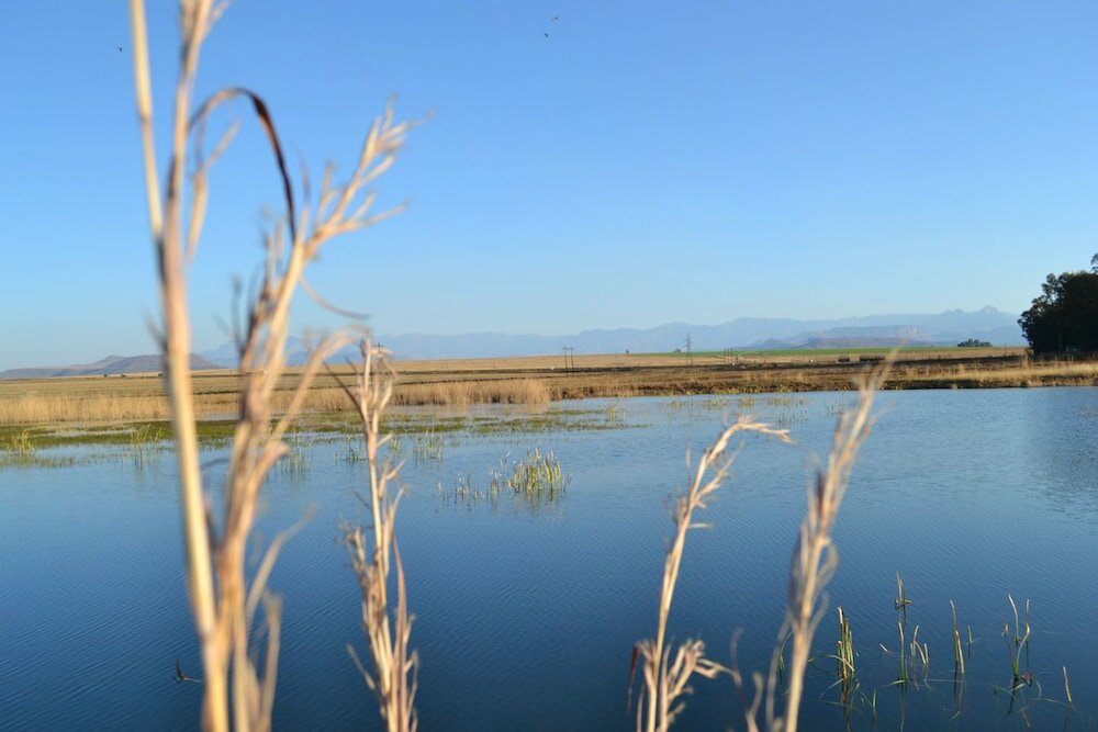 Фото Bingelela Lodge