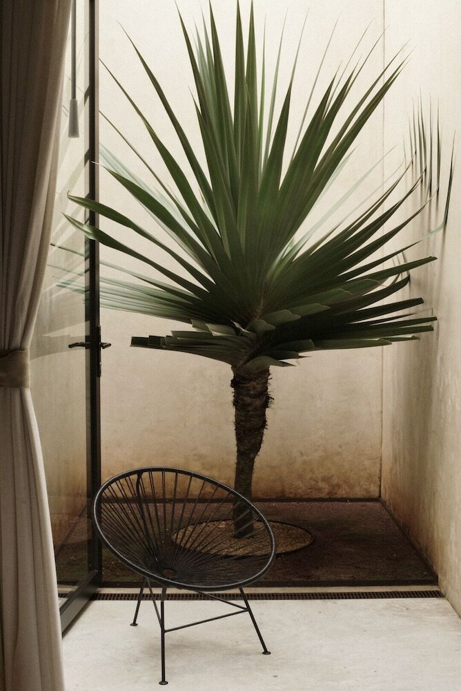 Фото Casa Carmen Reforma