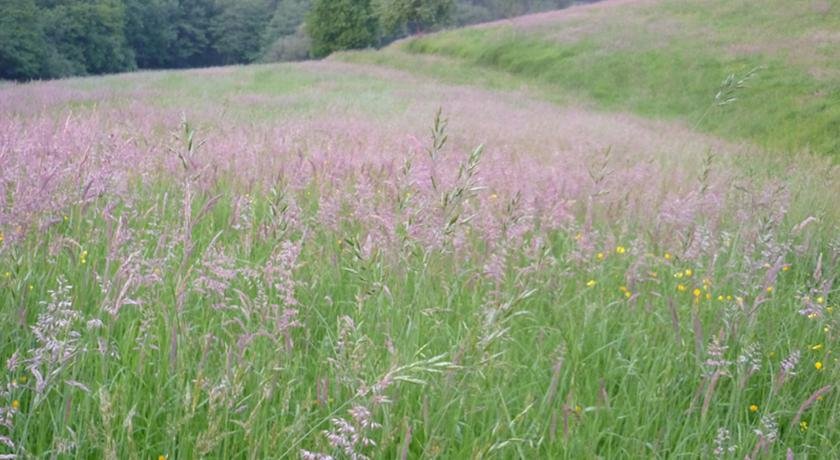 Фото Manarinegi Apartamentos Rurales