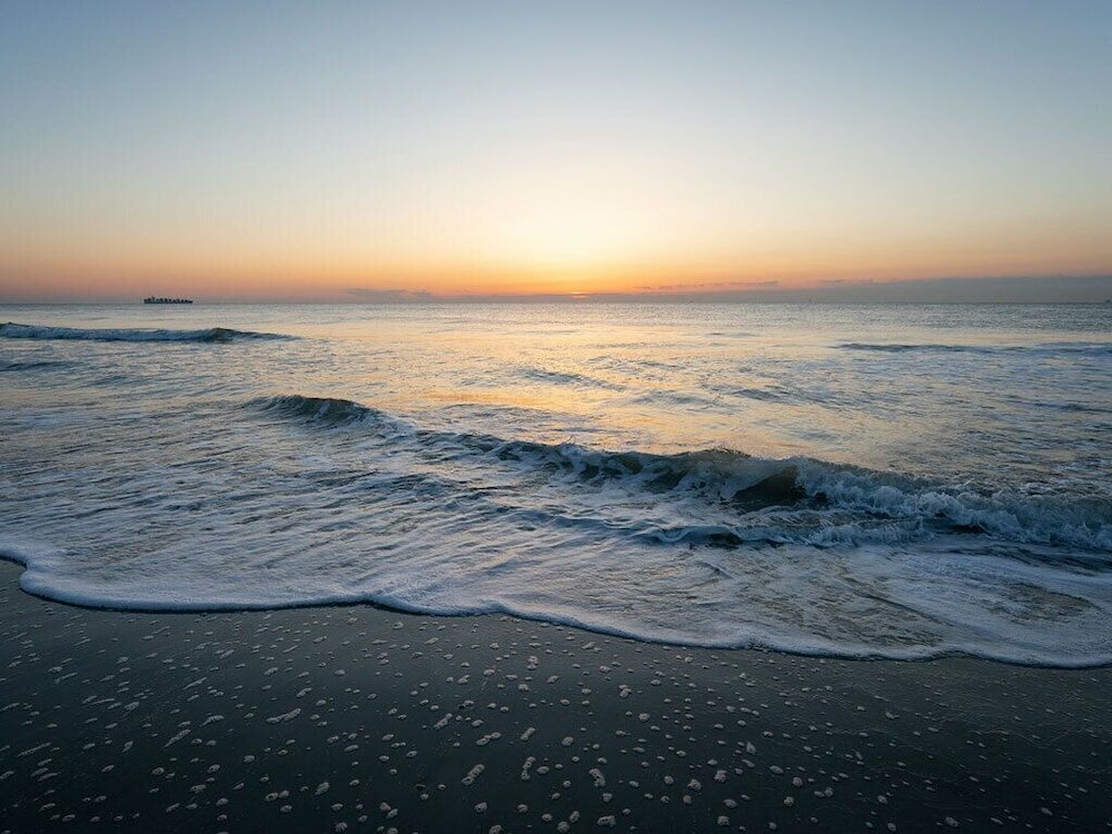 Фото Sea Gull Ocean Villa