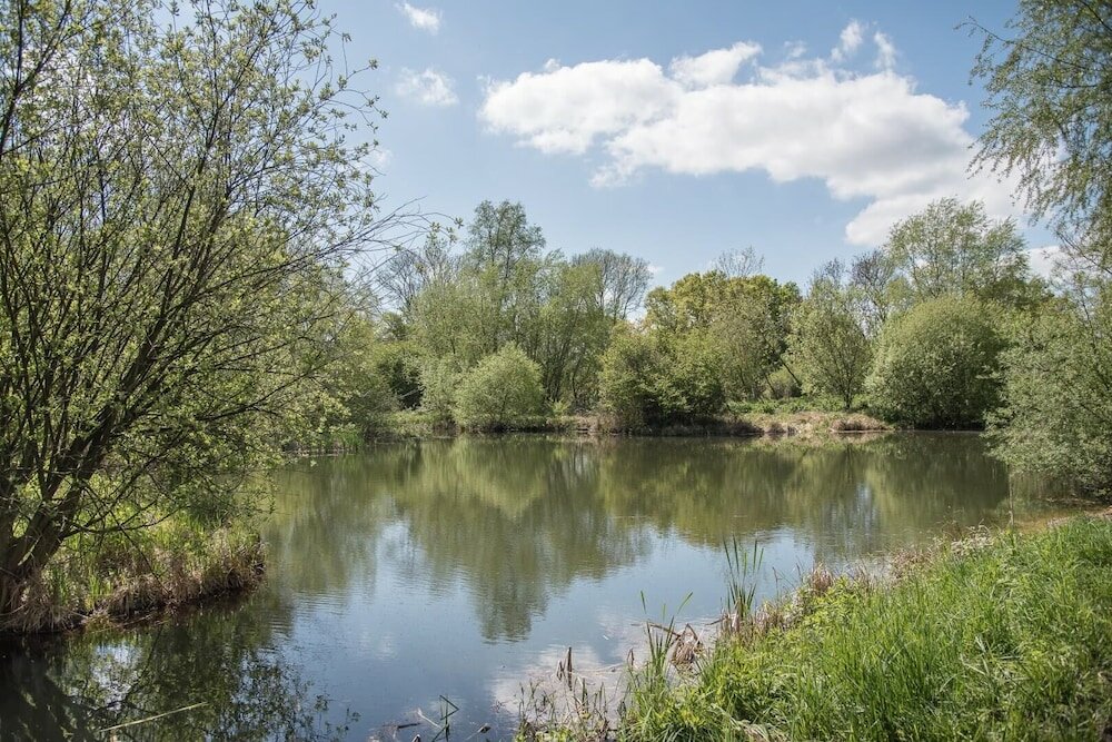 Фото Magnolia, Kingfishers
