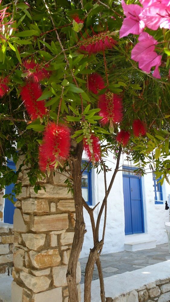 Фото Anezina Village