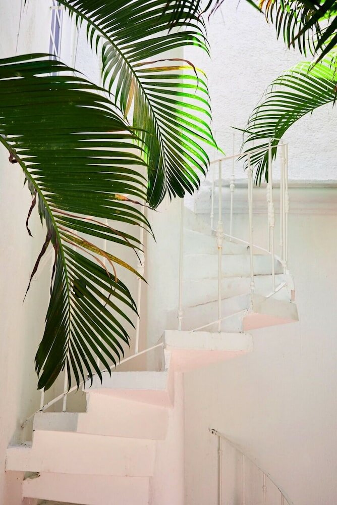 Фото Bango Mango Hostel