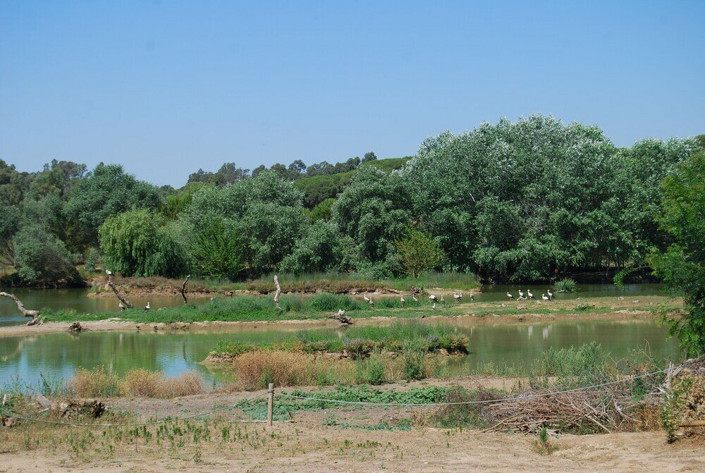 Фото Vivienda Rural el Retorno