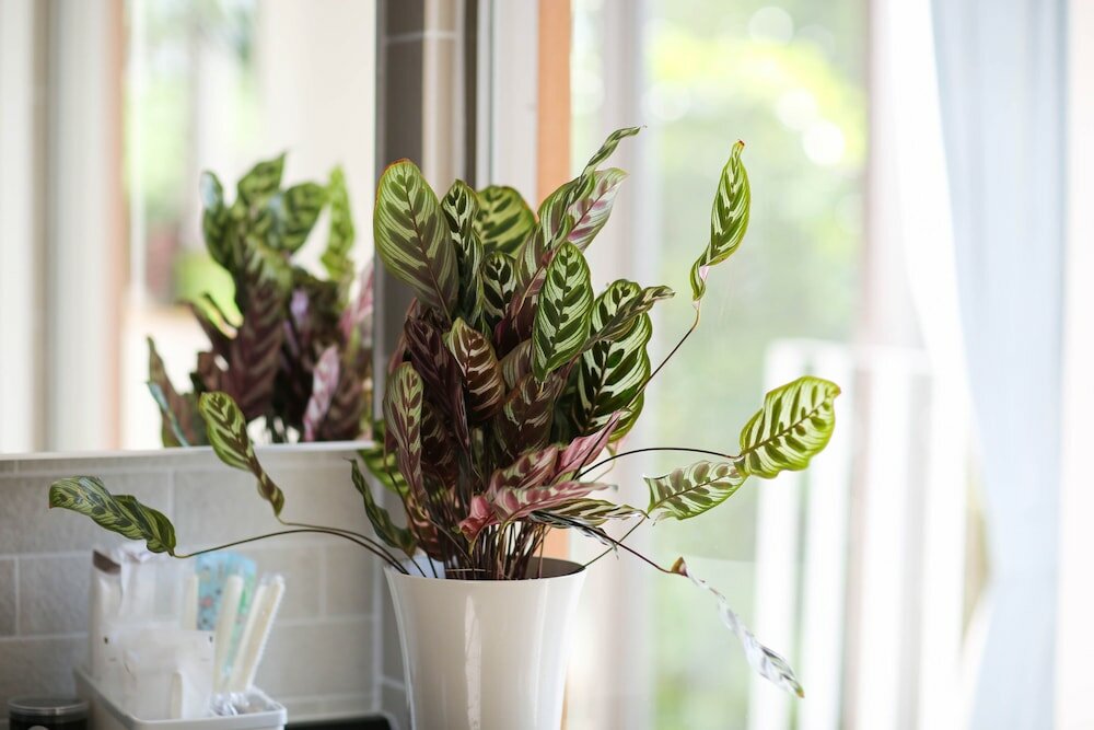 Фото Onnason vacation rental G