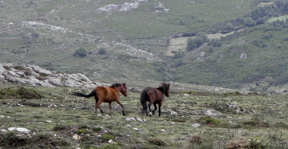 Фото Casa do Desassossego
