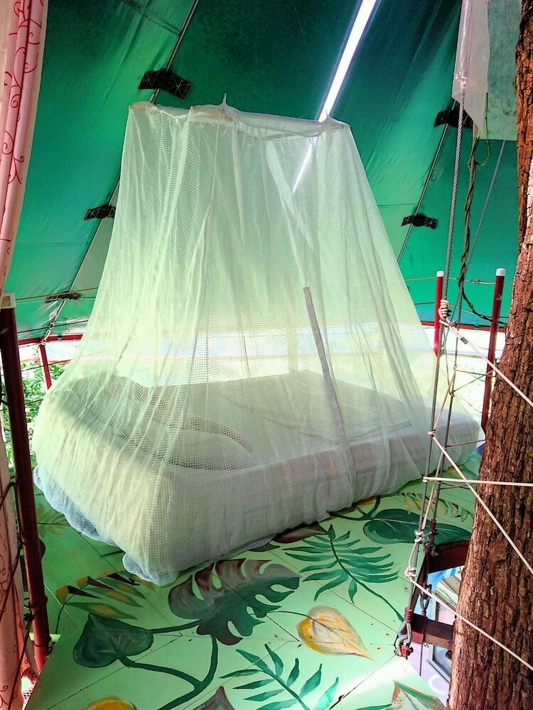 Фото Nature Observatorio Amazing Treehouse