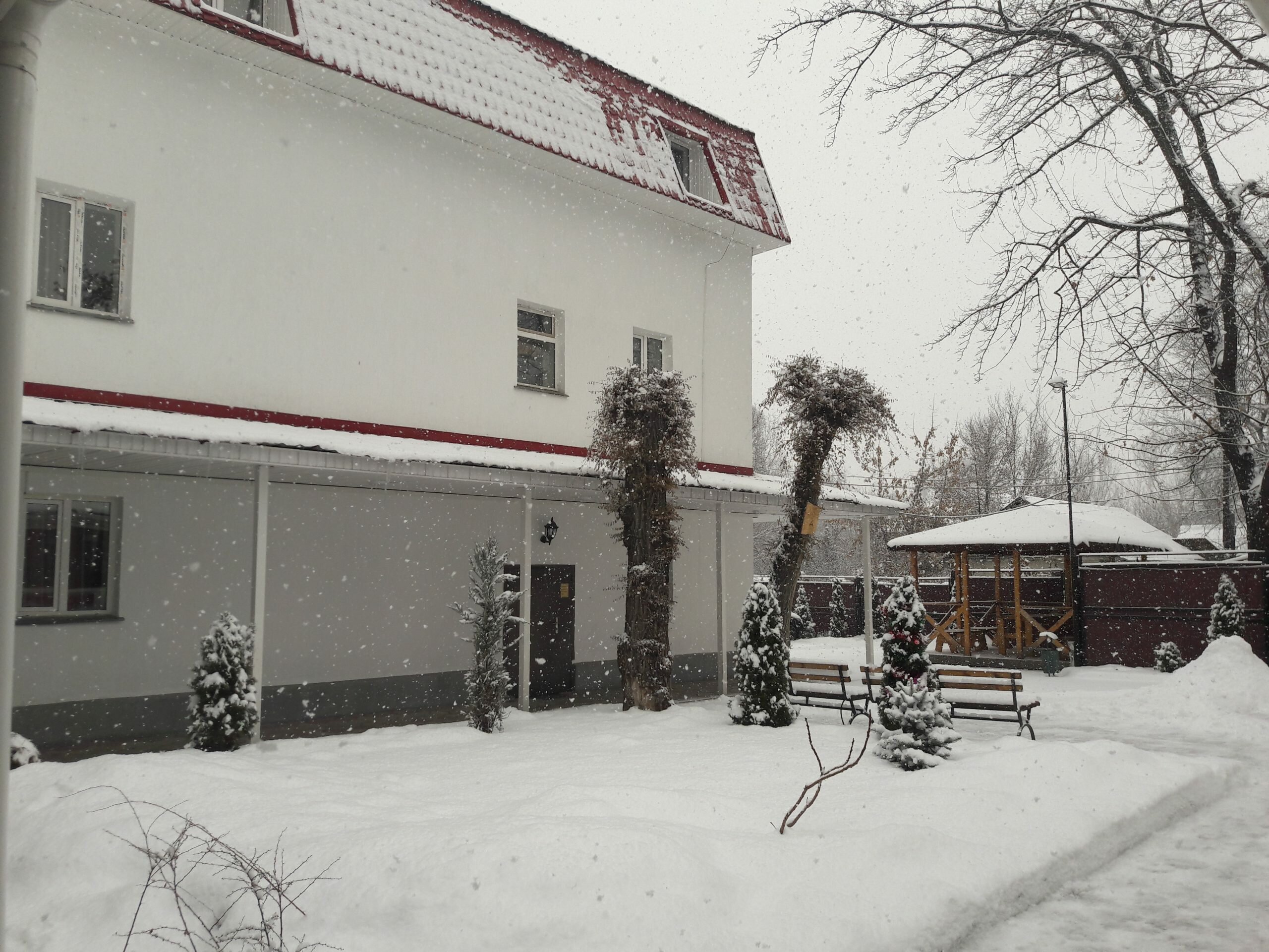 Фото FiveSeasons