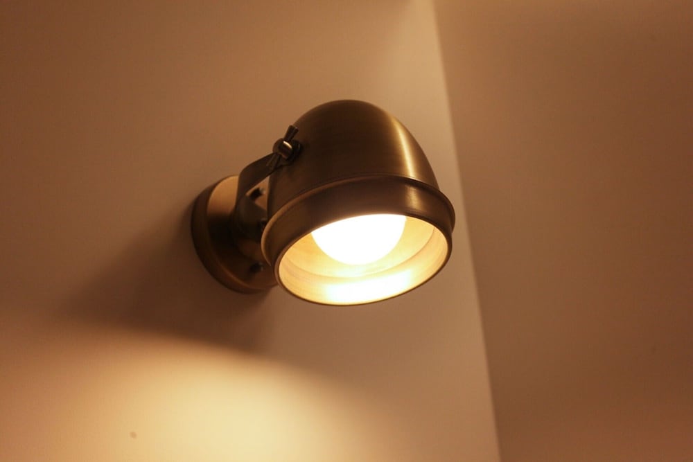 Фото Shinchon Peter Cat