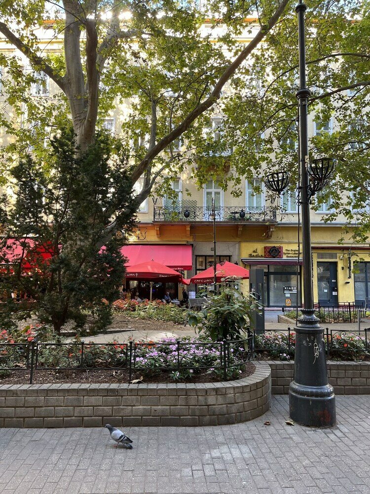 Фото Elena Suite