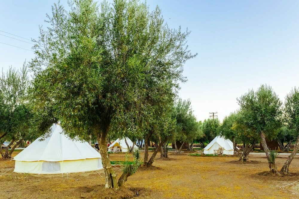 Фото Guadalupe Valle Glamping