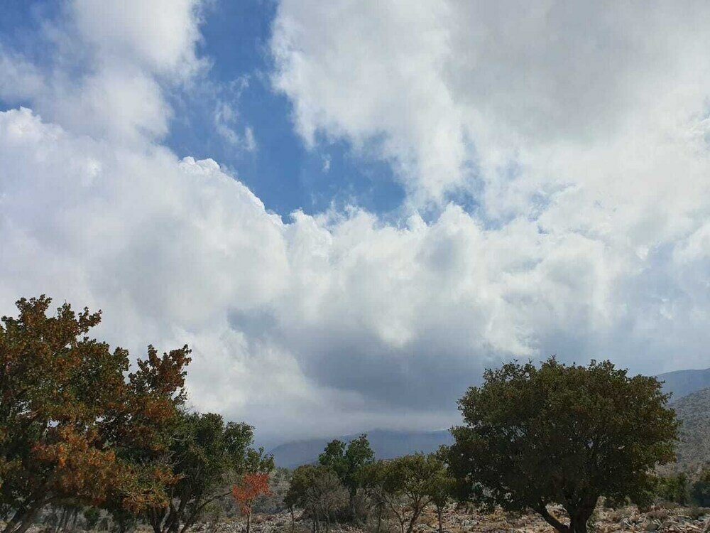 Фото Psiloritis Retreat Hotel