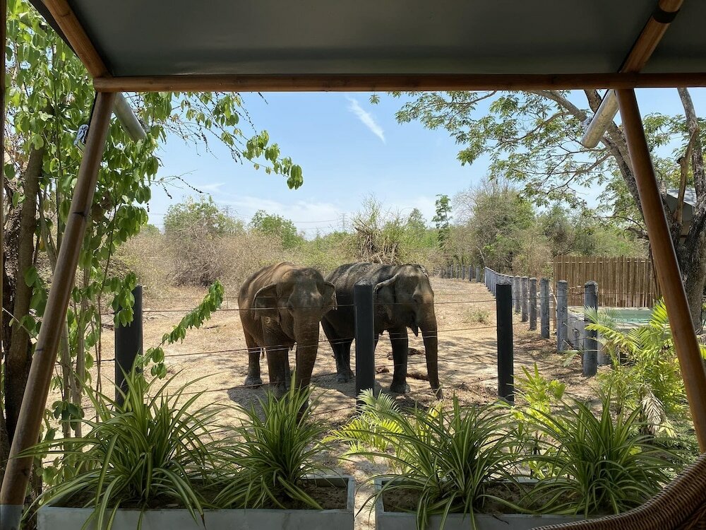 Фото Elephant View Camp