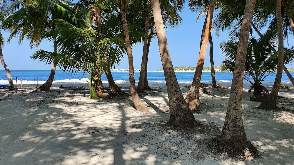 Фото Fehi Velaa Stay