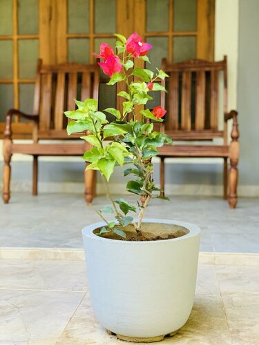 Гостиница Kandy Eco Paradise