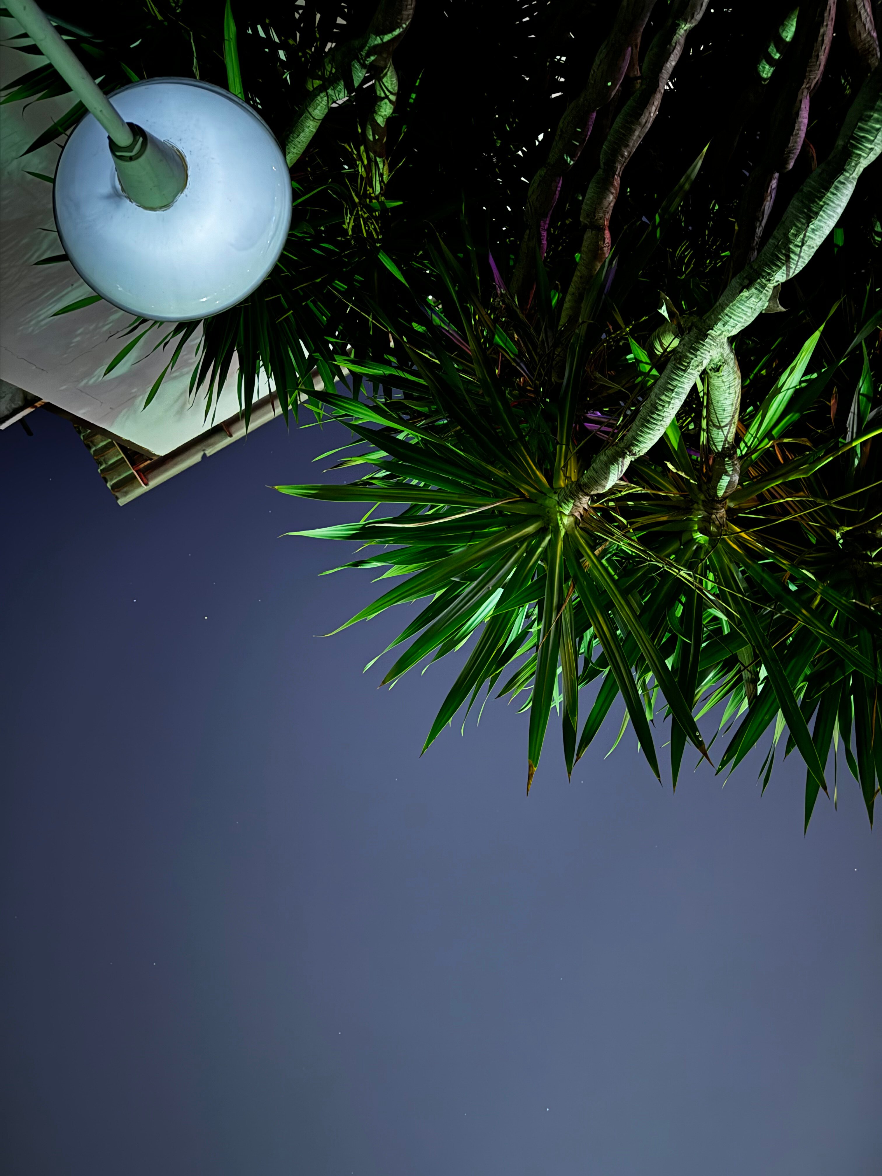 Фото Romeo Palace Hotel