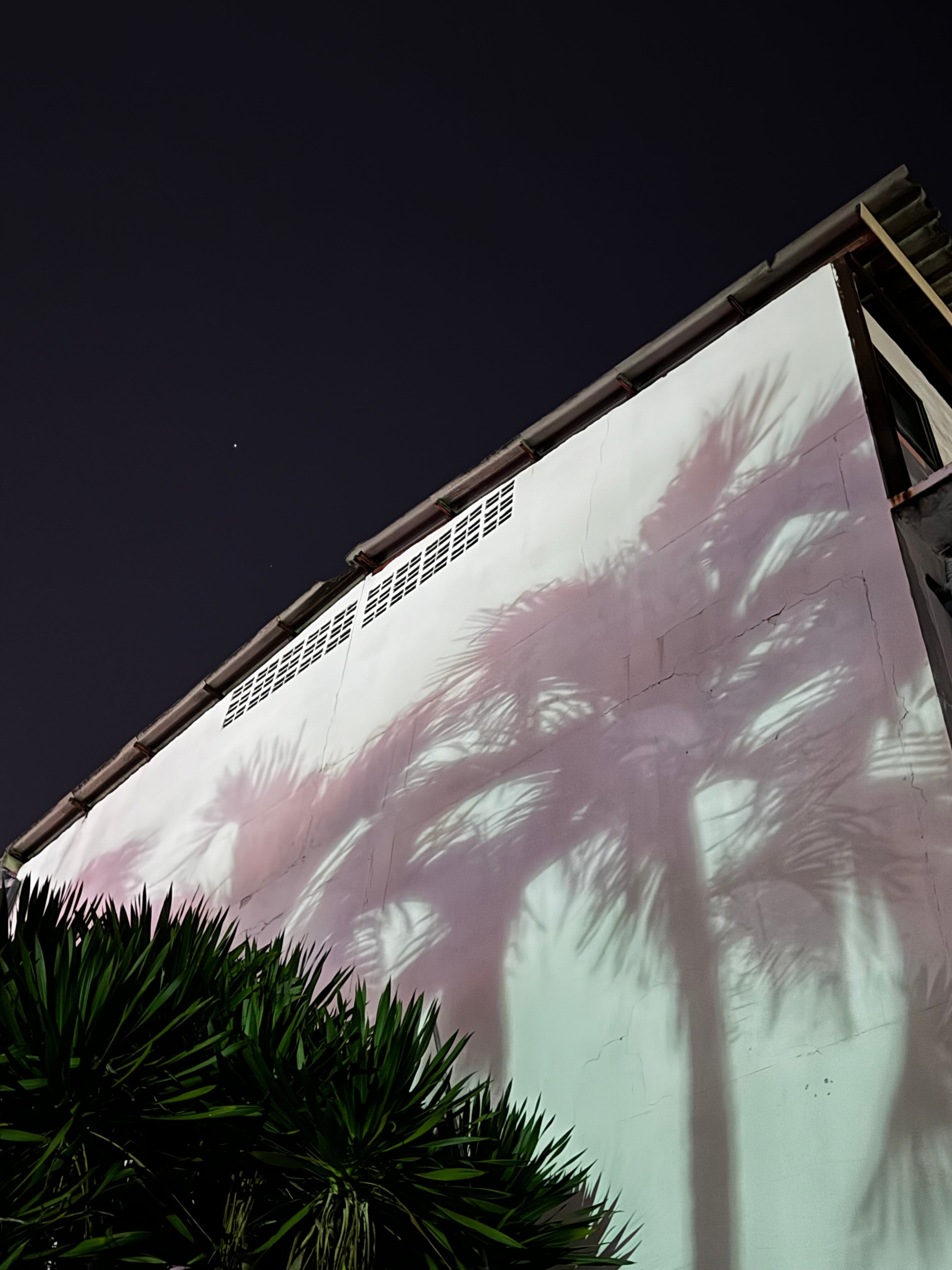 Фото Romeo Palace Hotel