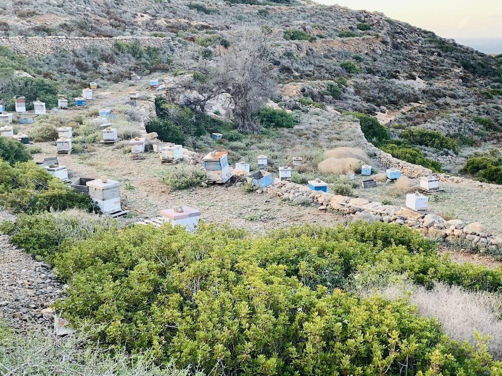 Фото Theoxenia Suites & Apartments