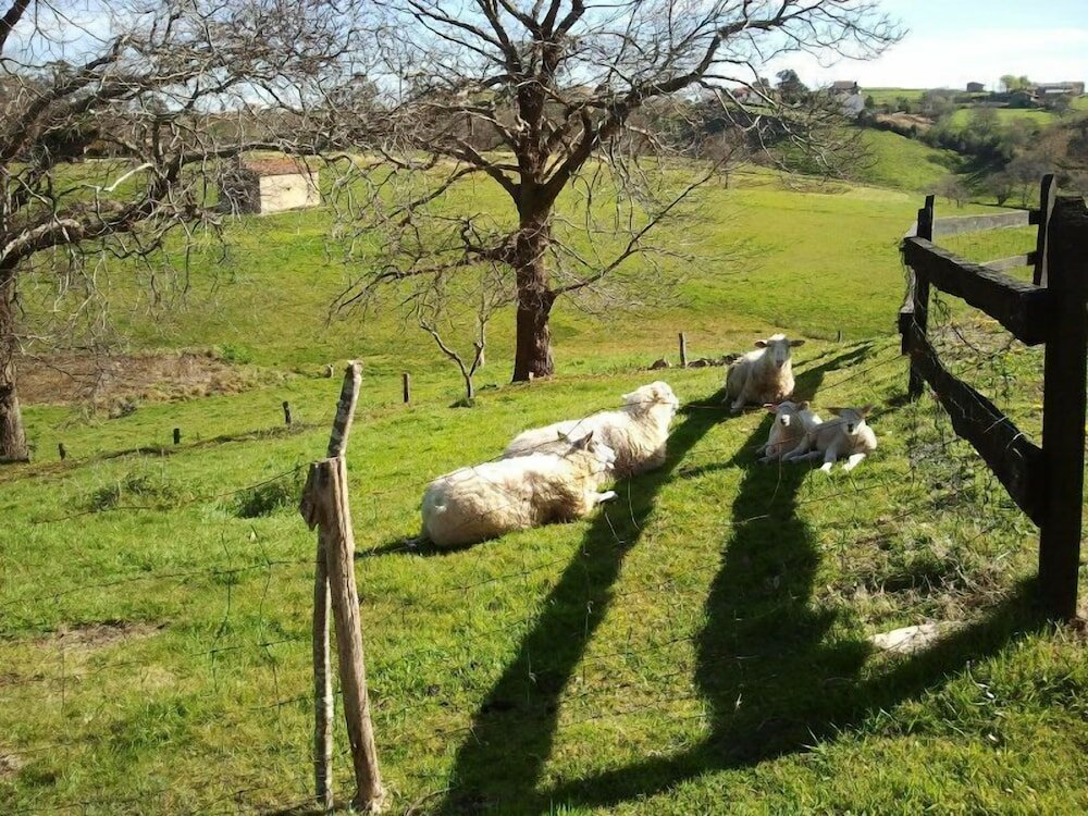 Фото Casas Rurales El Terrero