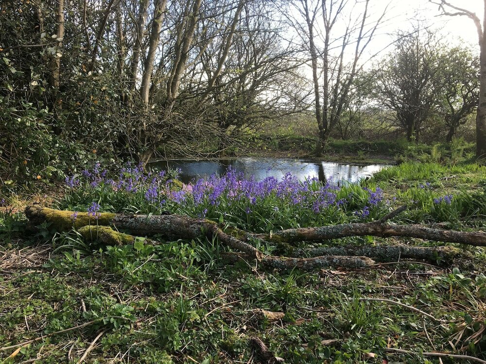 Фото Higher Trenear Farm