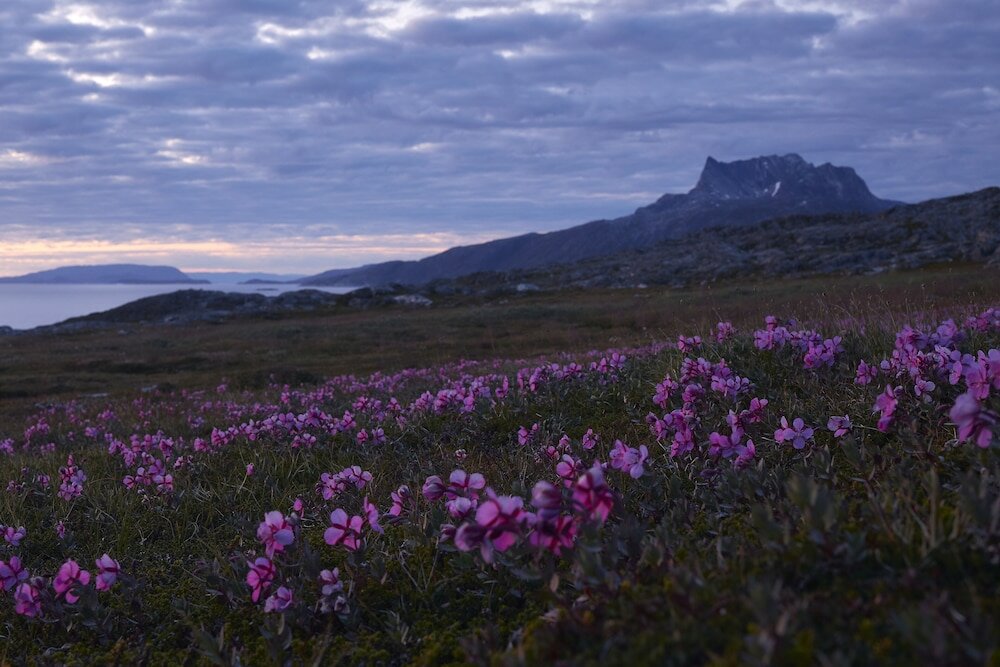 Фото Nordbo i Centrum