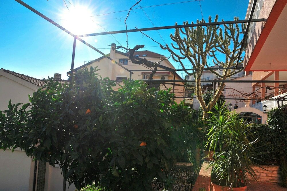 Фото Apartments Orange