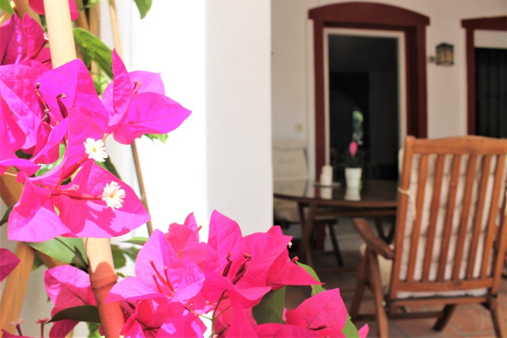 Фото Rootop Villa - Chalet EN Cabo Pino con vistas al mar, jardines y piscina