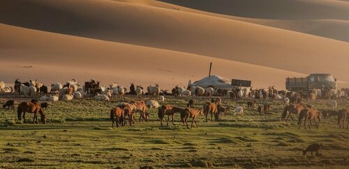 Хостел Mongolian Vision Tours в Улан-Баторе