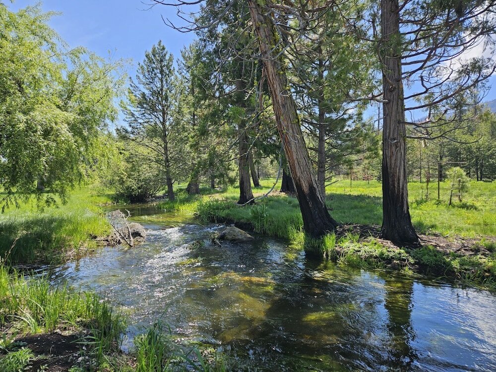 Фото The Black Forest Lodge