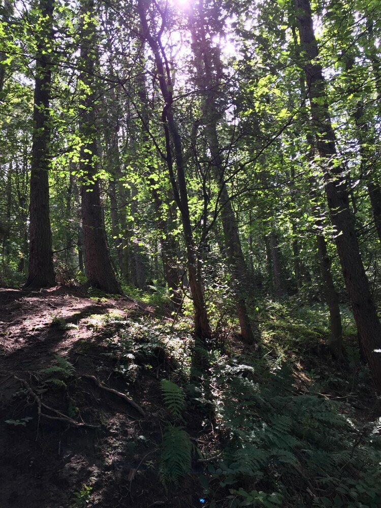 Фото 1 Twizell Lane