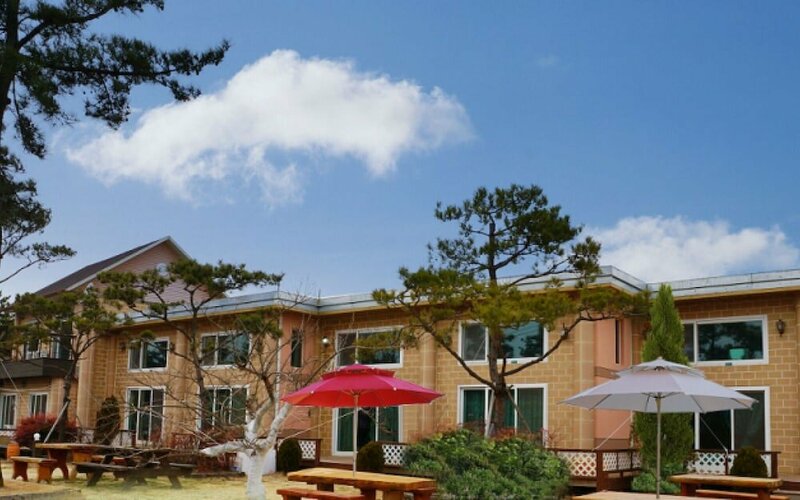 Гостиница Anmyeondo Gomseol Hwangto Pension