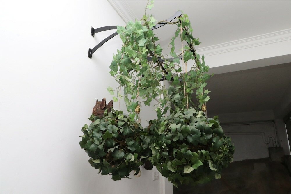 Фото Bougan villa kandy