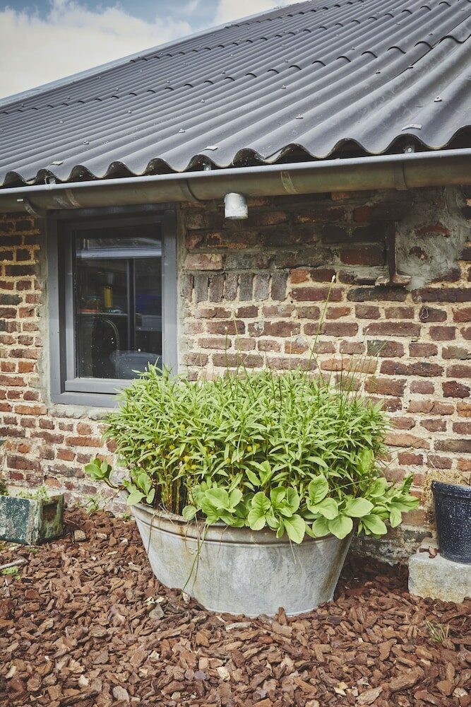 Фото B&b Maas EN Heuvel Maastricht