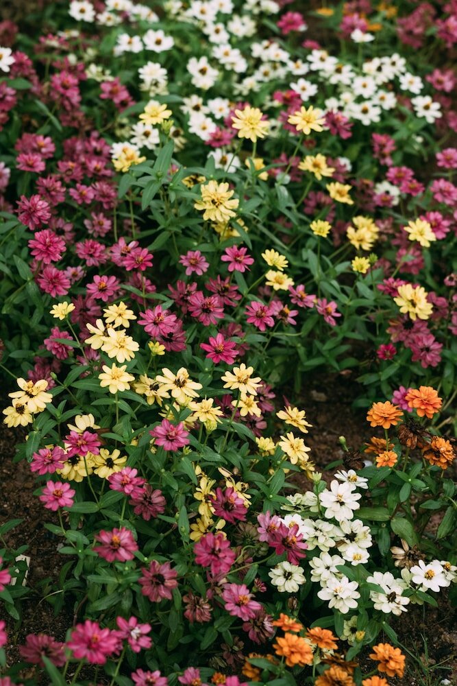 Фото The Cinnamon Resort Pattaya