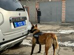 Ulbi Police Department (Stahanovskaıa kóshesi, 2А), police department