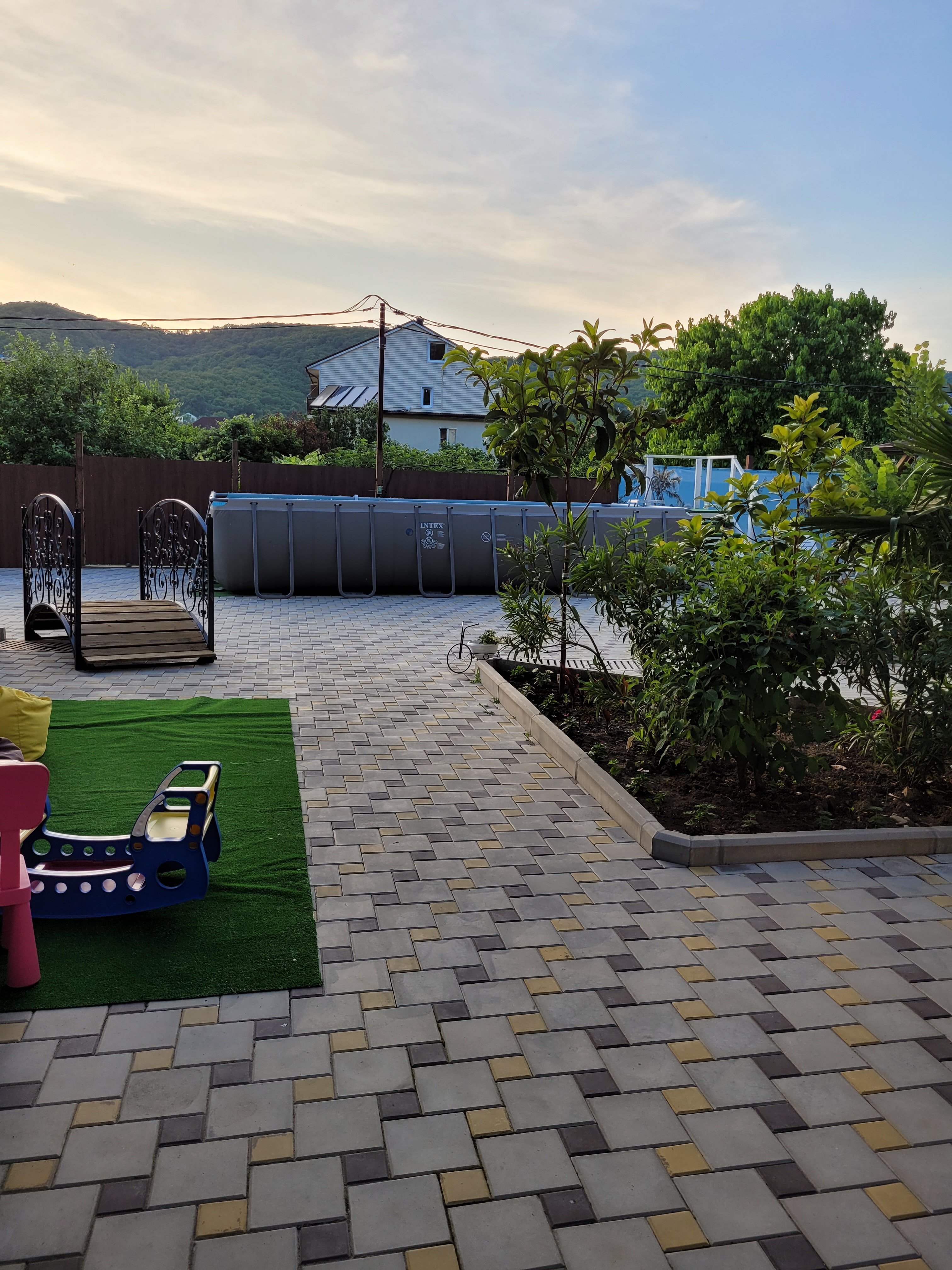 Фото Колибри