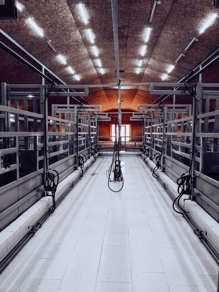 Agricultural enterprise Agralis Milking Systems, Accol, photo