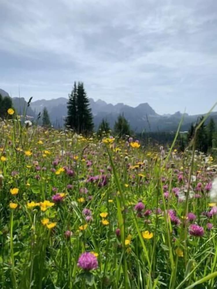 Фото Residence Bondi